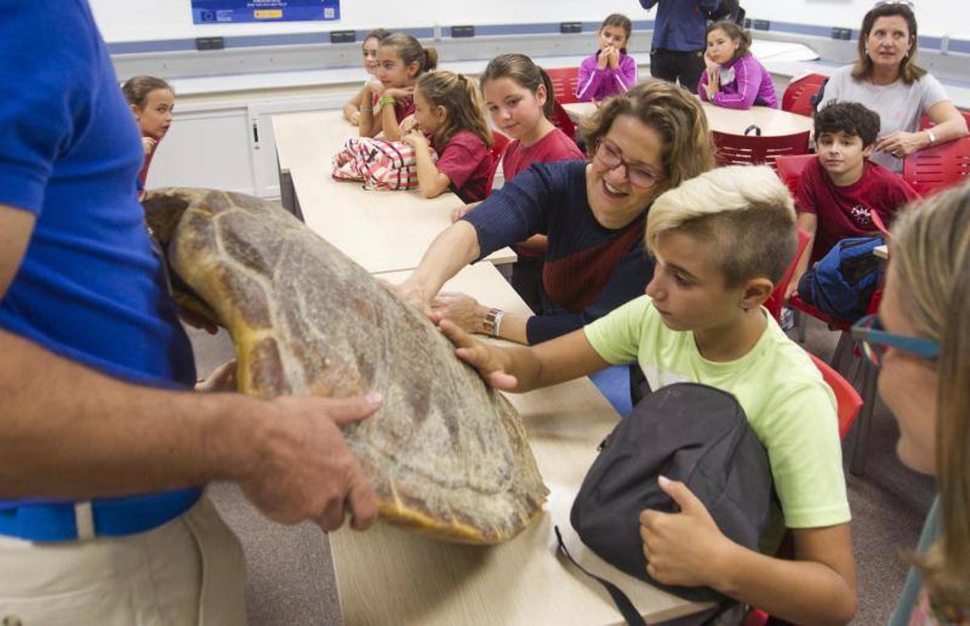 La Fundación Oceanogràfic nace para investigar y conservar el medio marino