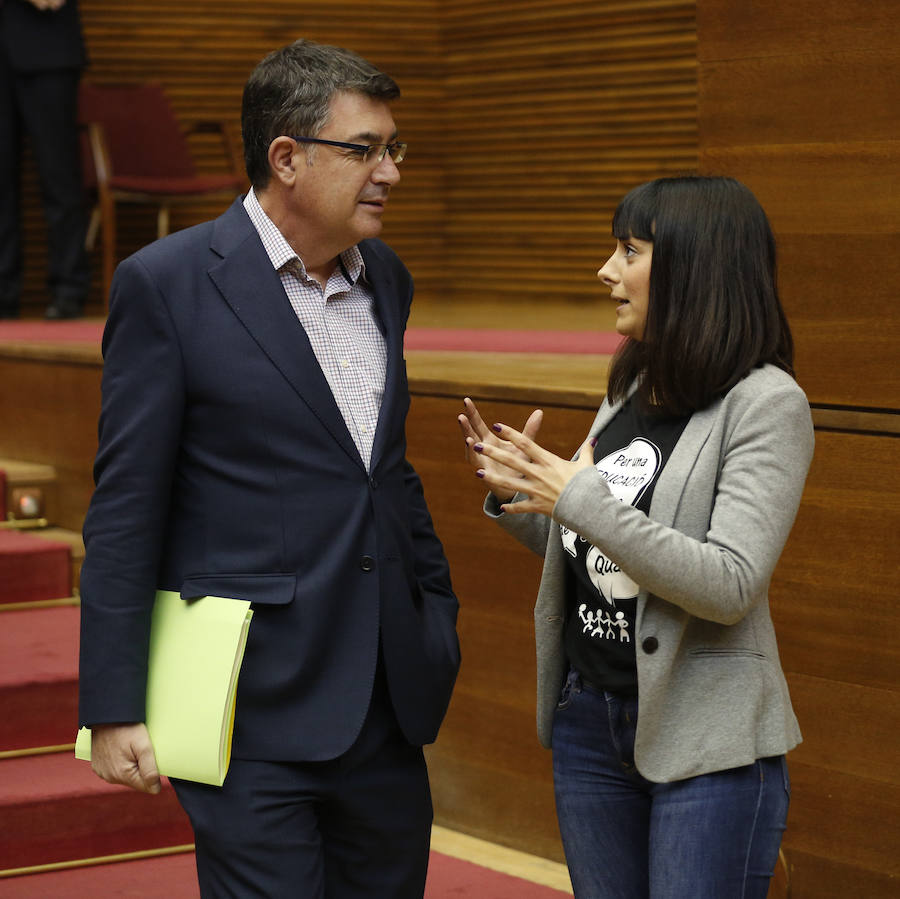 Fotos del pleno de les Corts