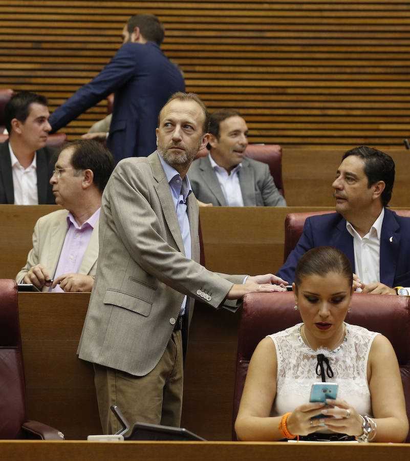 Fotos del pleno de les Corts