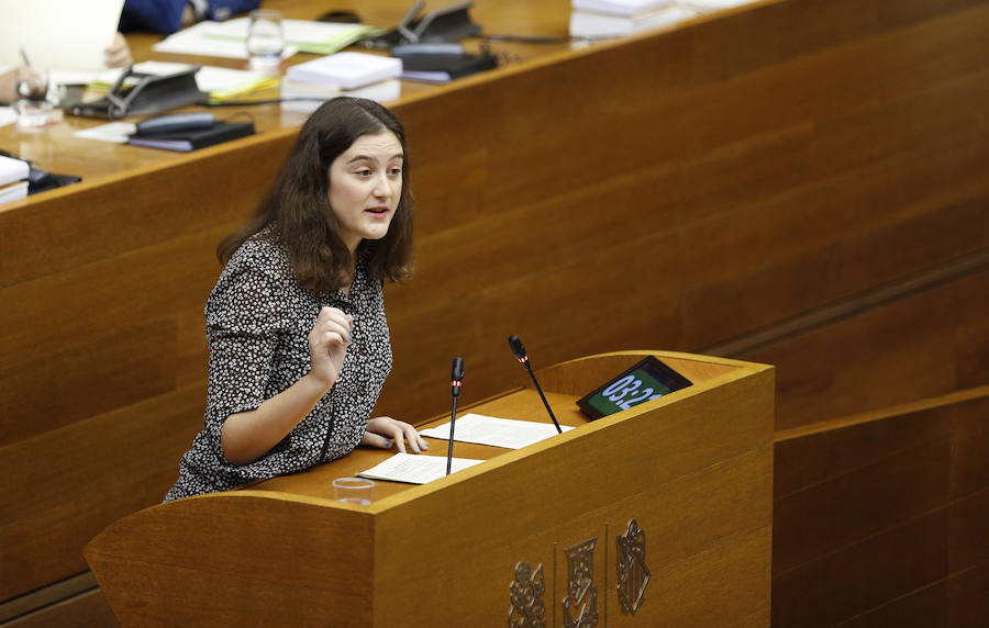 Fotos del pleno de les Corts