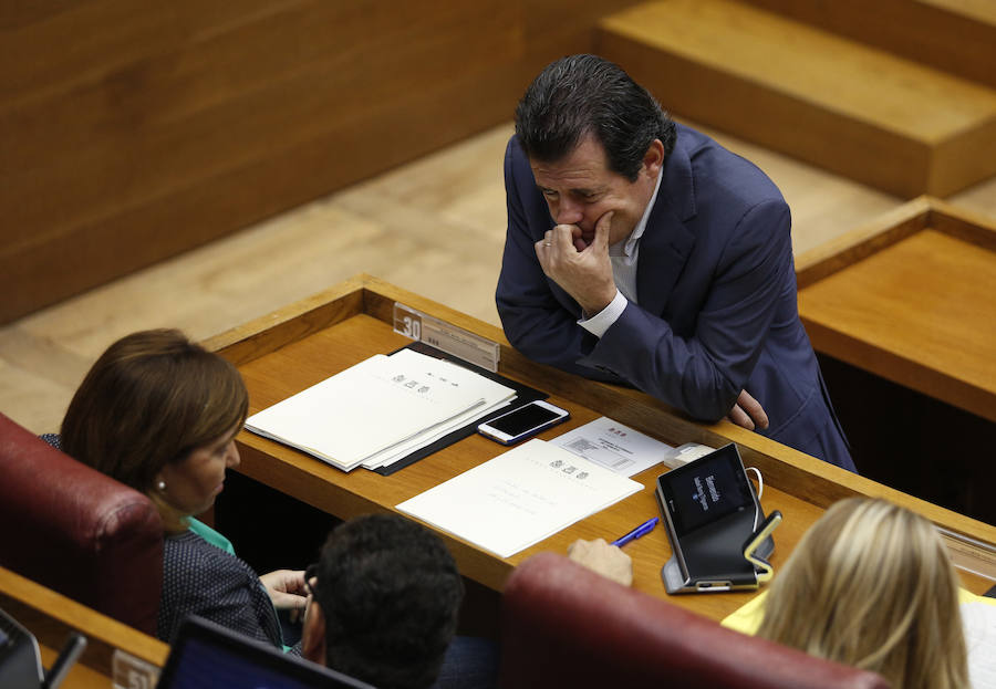 Fotos del pleno de les Corts