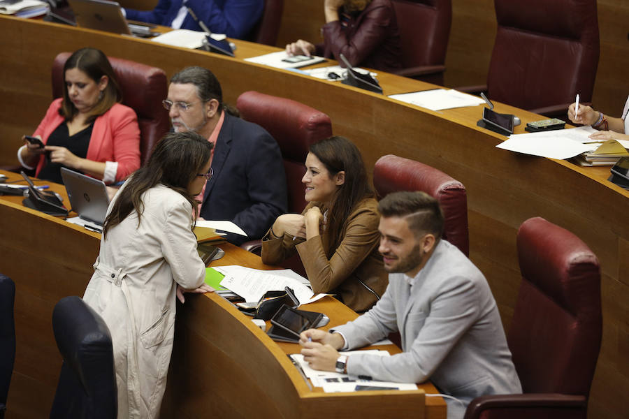 Fotos del pleno de les Corts