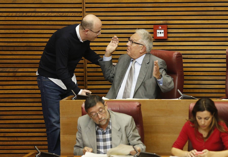 Fotos del pleno de les Corts