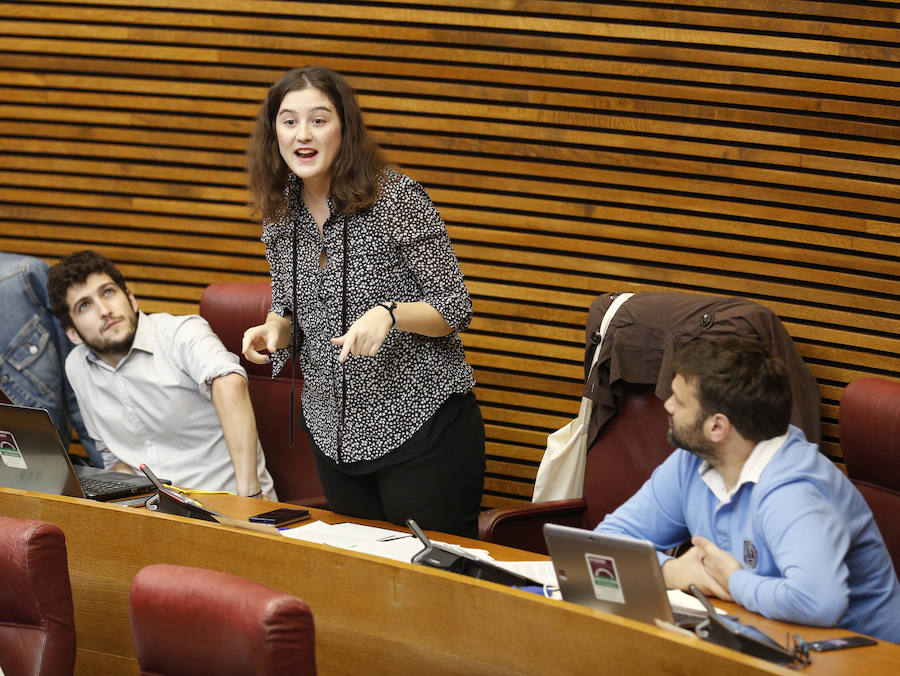 Fotos del pleno de les Corts