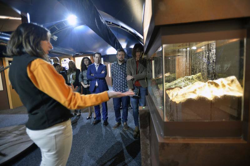 Exposición de La Caixa sobre los bosques