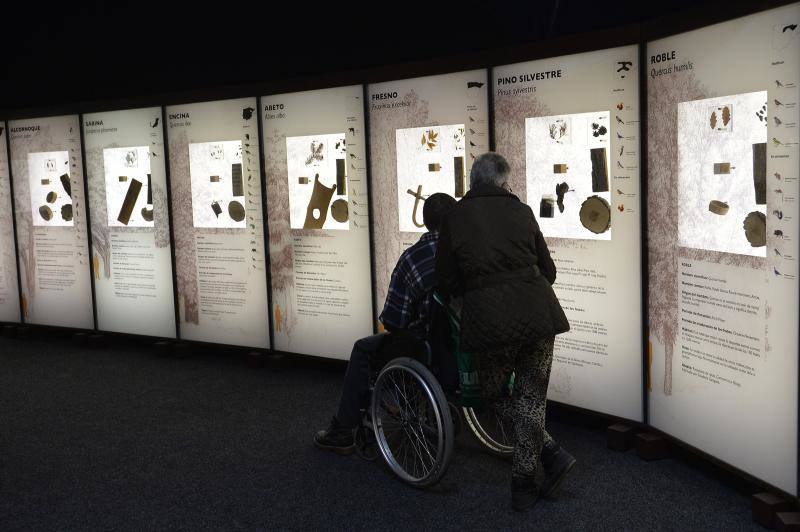 Exposición de La Caixa sobre los bosques