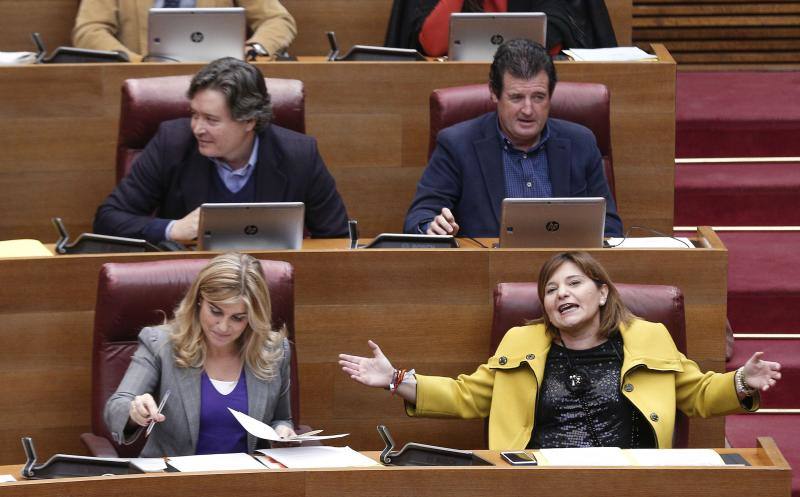 Las imágenes del Pleno de Les Corts