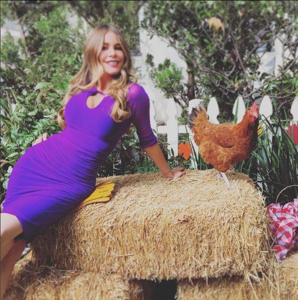 Fotos de Sofía Vergara