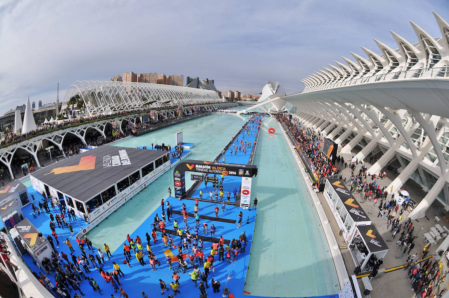 Fotos del Maratón Valencia 2016 (VIII)