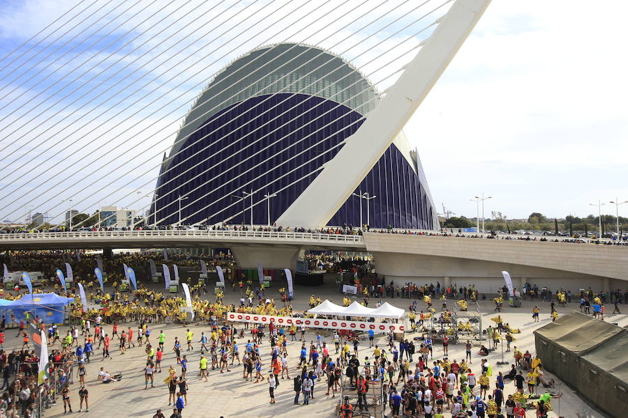 Fotos del Maratón de Valencia (VI)