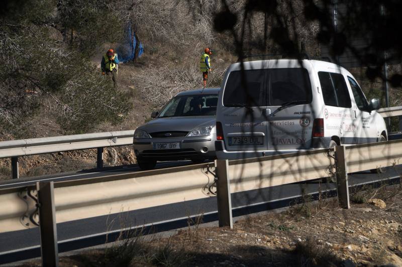 Conselleria quita los pinos secos de la zona más peligrosa de la sierra de Orihuela