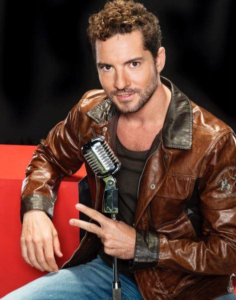 Fotos de David Bisbal