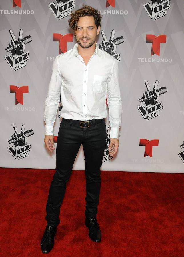 Fotos de David Bisbal