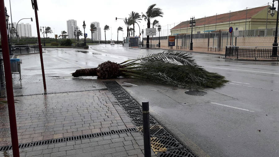 Temporal en Cullera.
