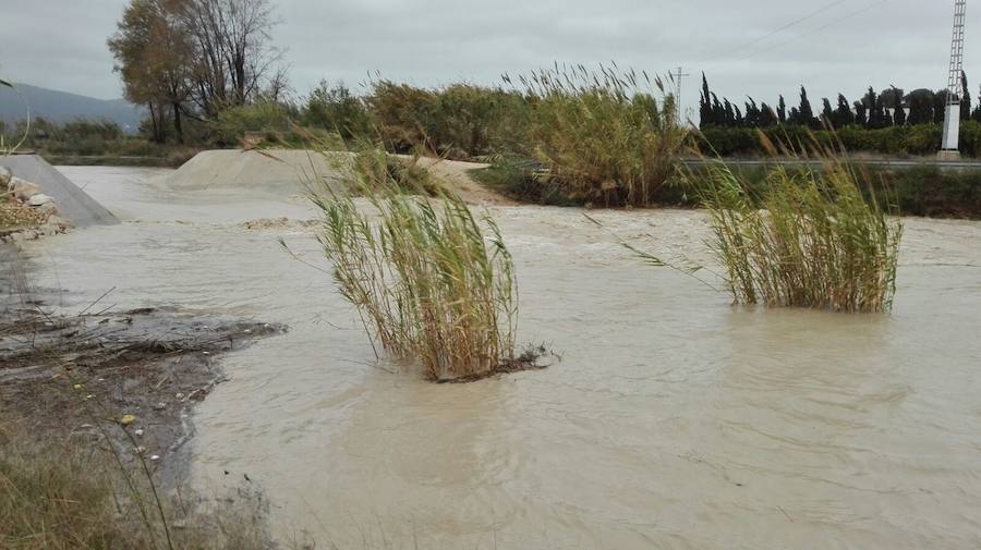 Río Gallinera a su paso por Oliva.