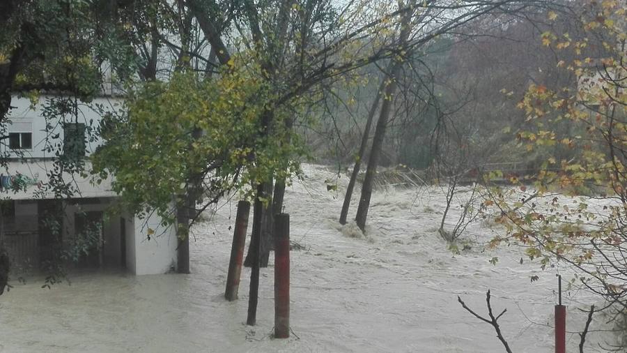 La Reprimala en Villalonga