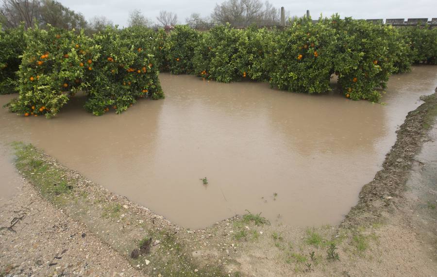 Fotos de los campos inundados en Alberic