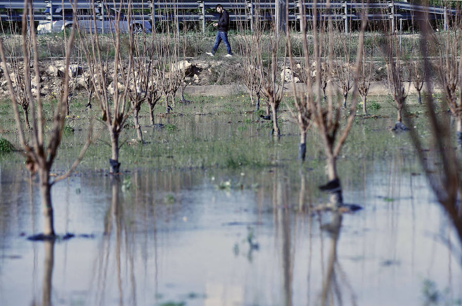 Fotos de los campos inundados en Alberic