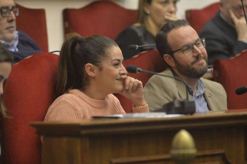 Las imágenes del pleno extraordinario del Ayuntamiento de Elche