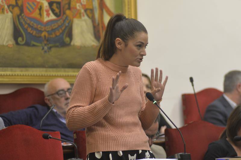 Las imágenes del pleno extraordinario del Ayuntamiento de Elche