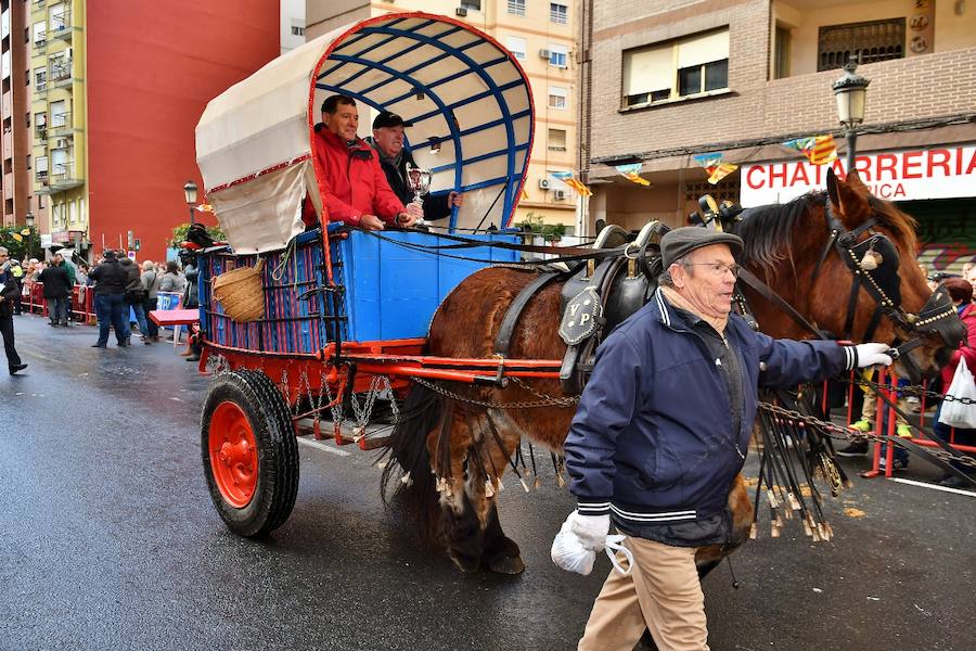 Fotos de la bendición de animales en Valencia durante la procesión de San Antonio Abad