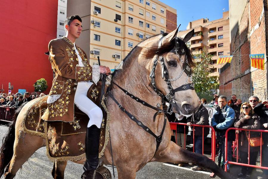 Fotos de la bendición de animales en Valencia durante la procesión de San Antonio Abad