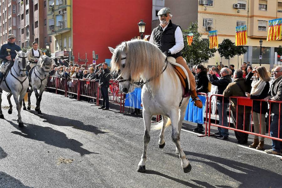 Fotos de la bendición de animales en Valencia durante la procesión de San Antonio Abad