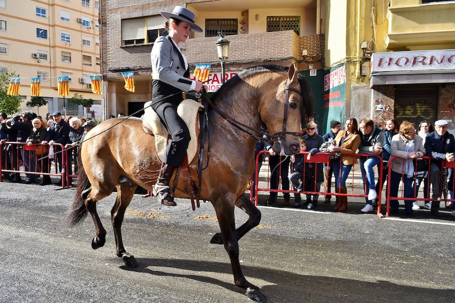 Fotos de la bendición de animales en Valencia durante la procesión de San Antonio Abad