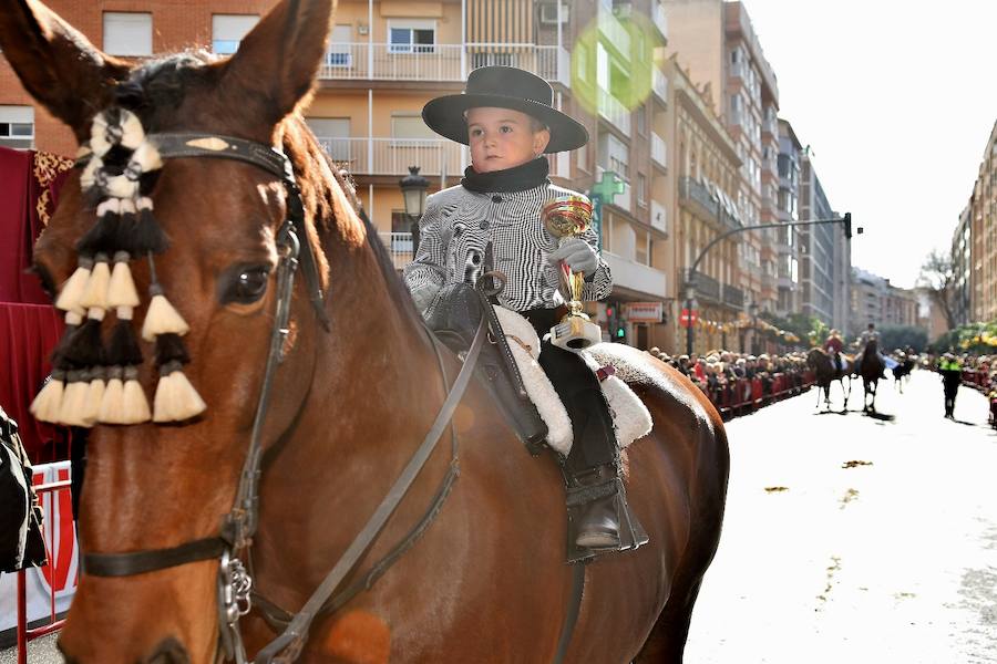 Fotos de la bendición de animales en Valencia durante la procesión de San Antonio Abad