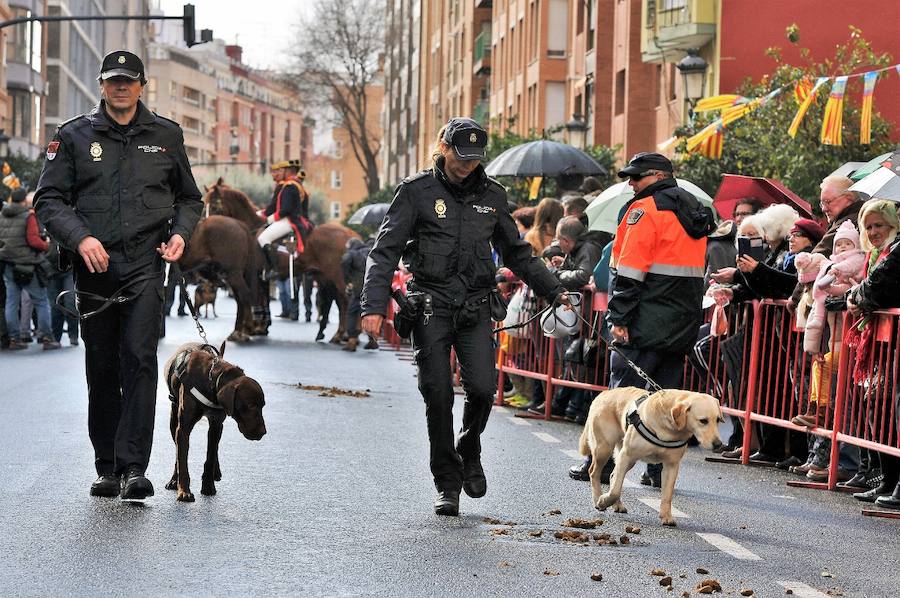 Fotos de la bendición de animales en Valencia durante la procesión de San Antonio Abad