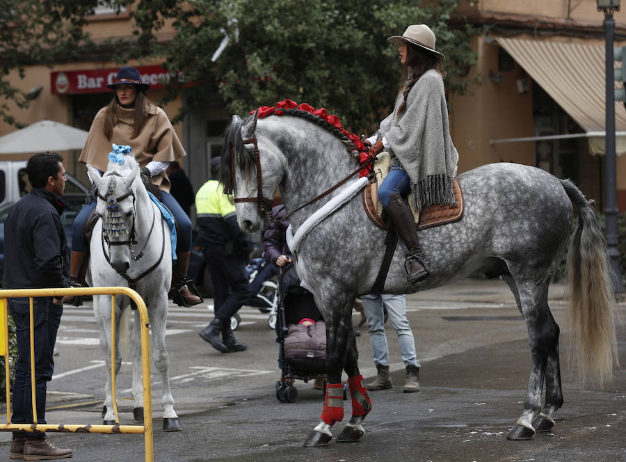 Fotos de la bendición de animales en Valencia durante la procesión de San Antonio Abad