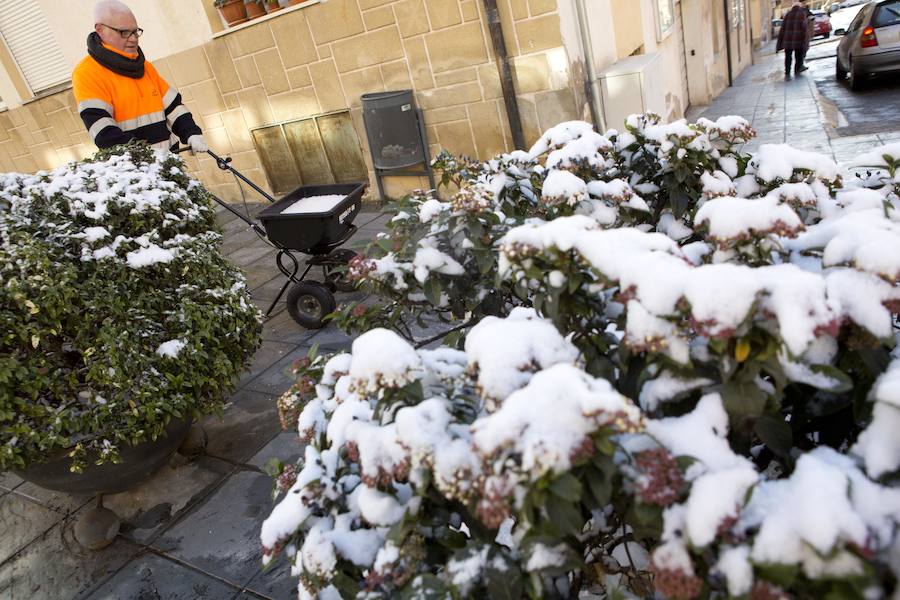 Fotos de la navada en Bocairent y Albaida