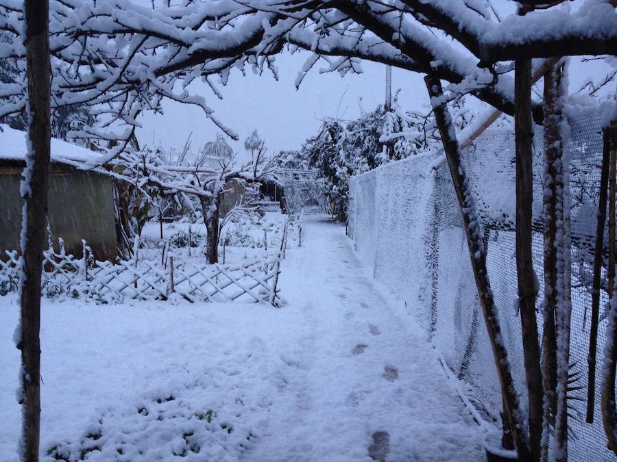 Nieva en Dénia y Xàbia al nivel del mar