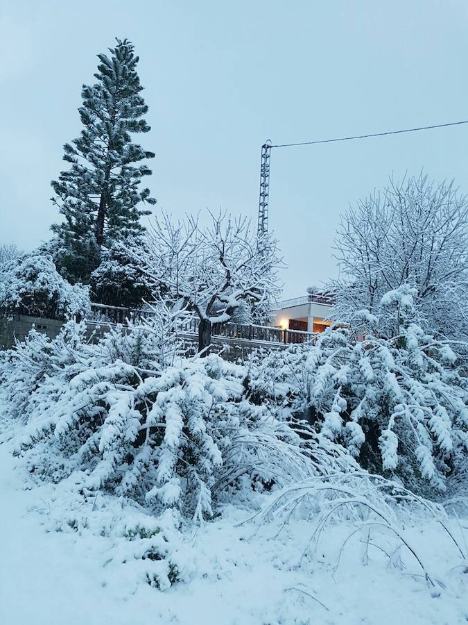 Fotos de la nevada en Orba