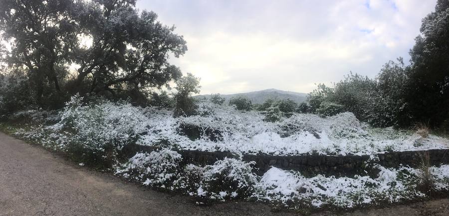 Fotos de la nevada en La Safor