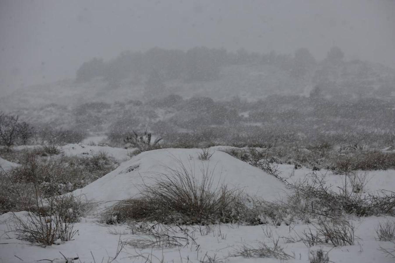 Carreteras con nieve en la Comunitat por el temporal de frío