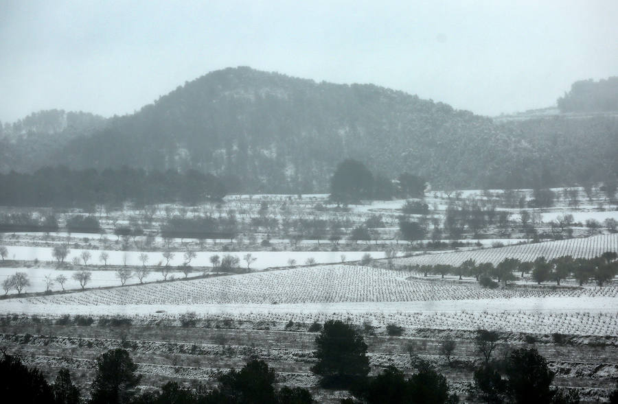 Carretera A35 y N-344 cerradas por la intensa nevada en Fuente la Higuera y Navalon.