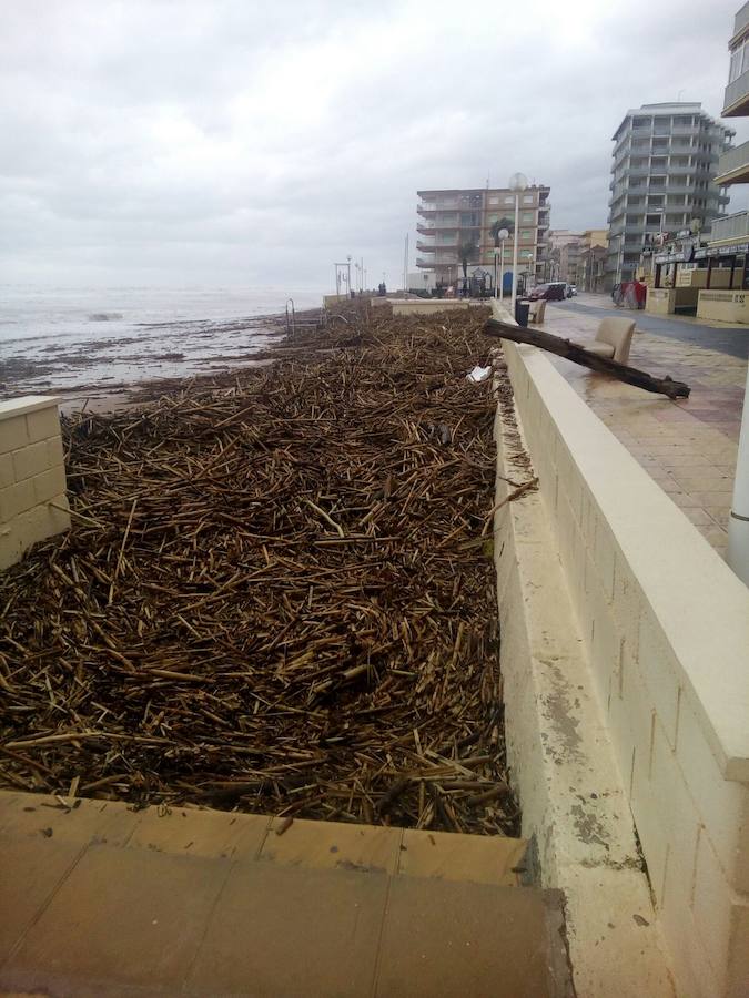 El temporal en el mar destroza paseos y calles en varios municipios de la Comunitat