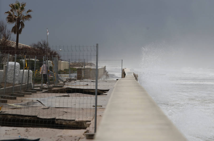 Fotos de El Saler y Pinedo durante el temporal