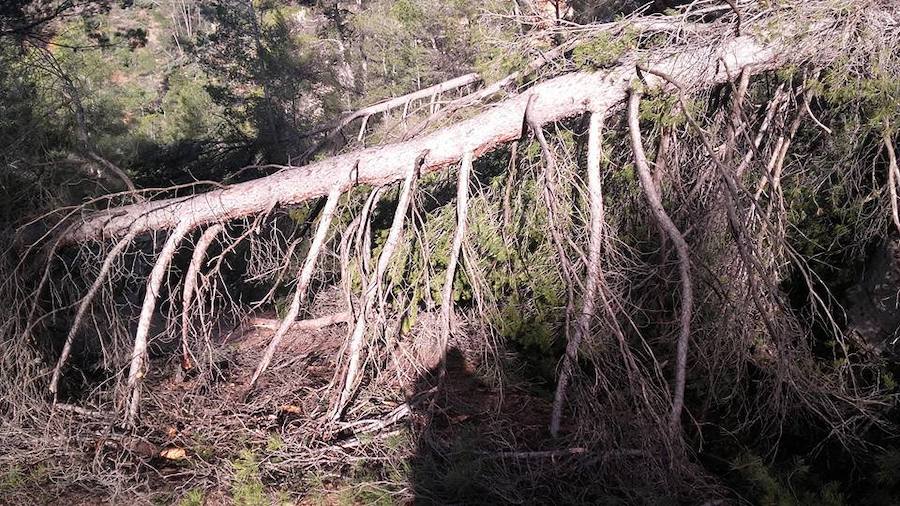 Situación límite en la reserva de Valdeserrillas