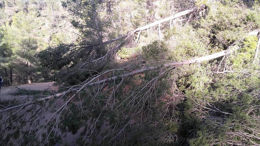 Situación límite en la reserva de Valdeserrillas