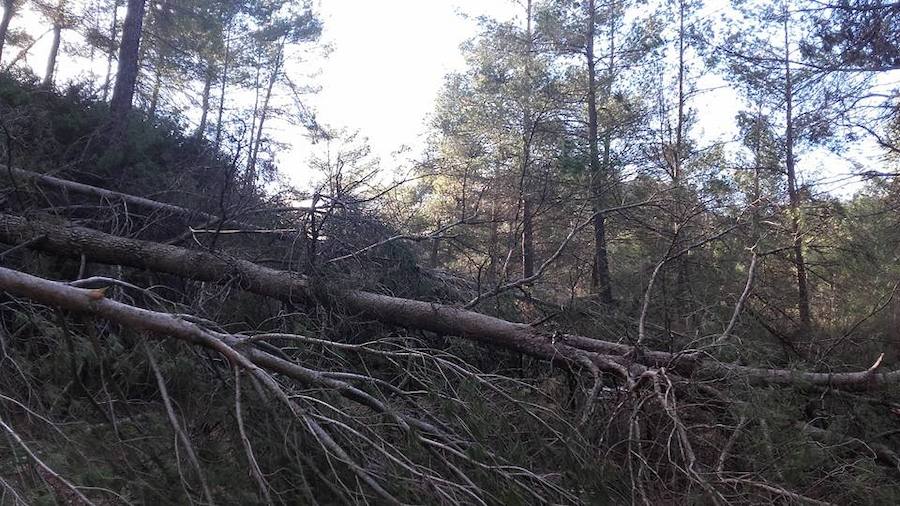 Situación límite en la reserva de Valdeserrillas