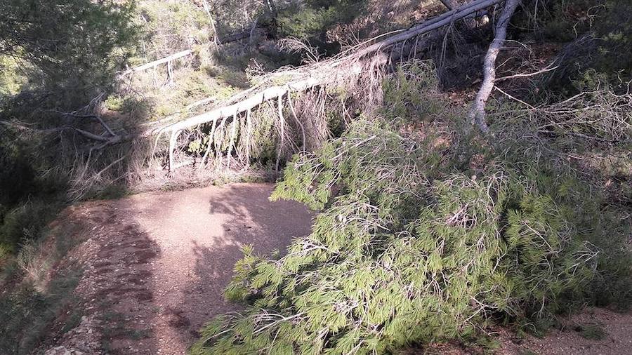 Situación límite en la reserva de Valdeserrillas