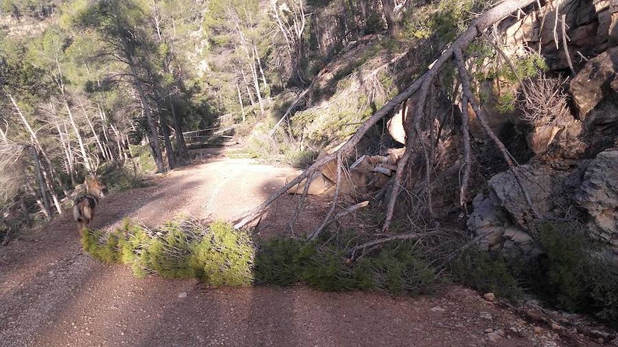 Situación límite en la reserva de Valdeserrillas