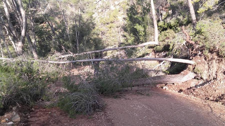 Situación límite en la reserva de Valdeserrillas