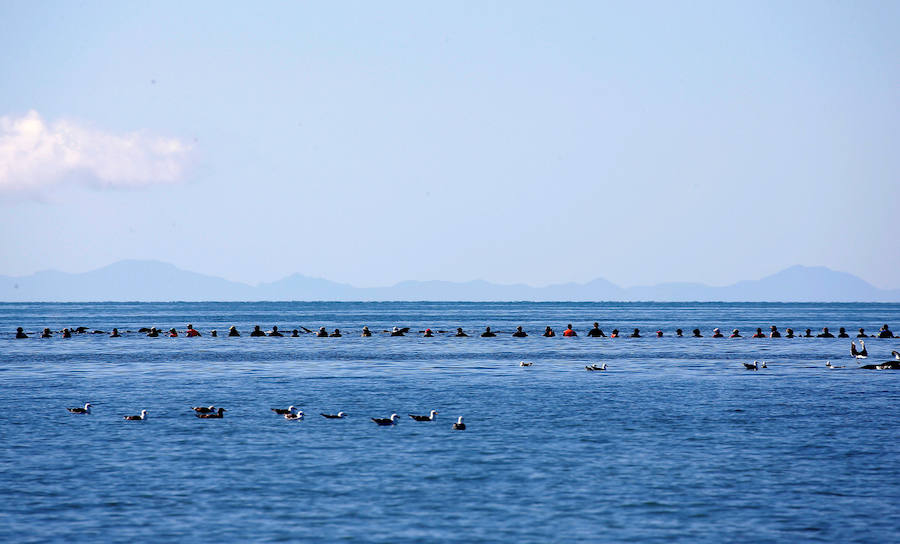 Fotos de las ballenas varadas en la Bahía de Oro