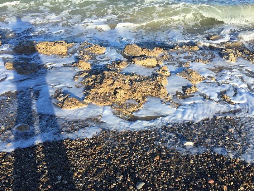 Fotos del estado de la playa de El Saler