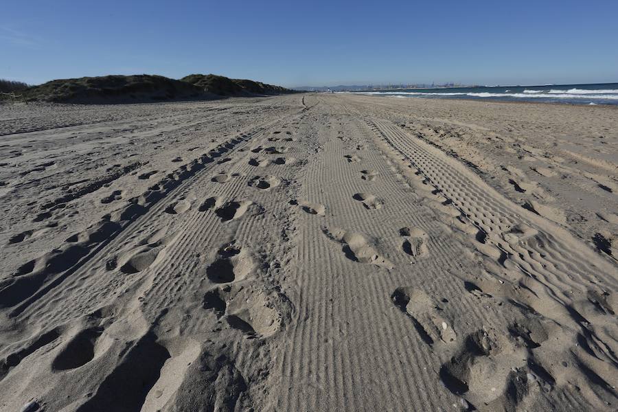 Fotos de las obras de reconstrucción de El Saler