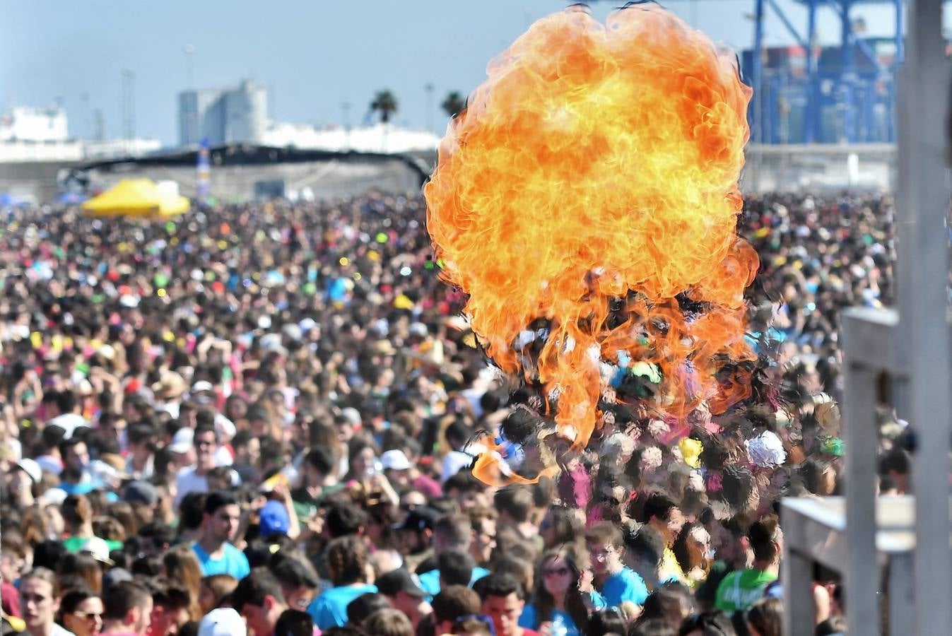 Fotos de las paellas universitarias en Valencia