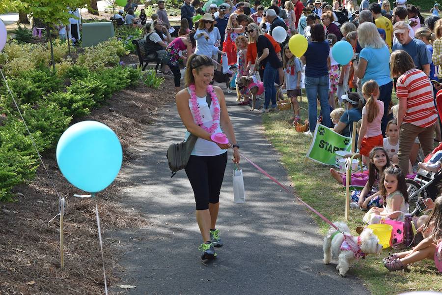 Fotos de los perros más graciosos del desfile anual de Pascua de Georgia